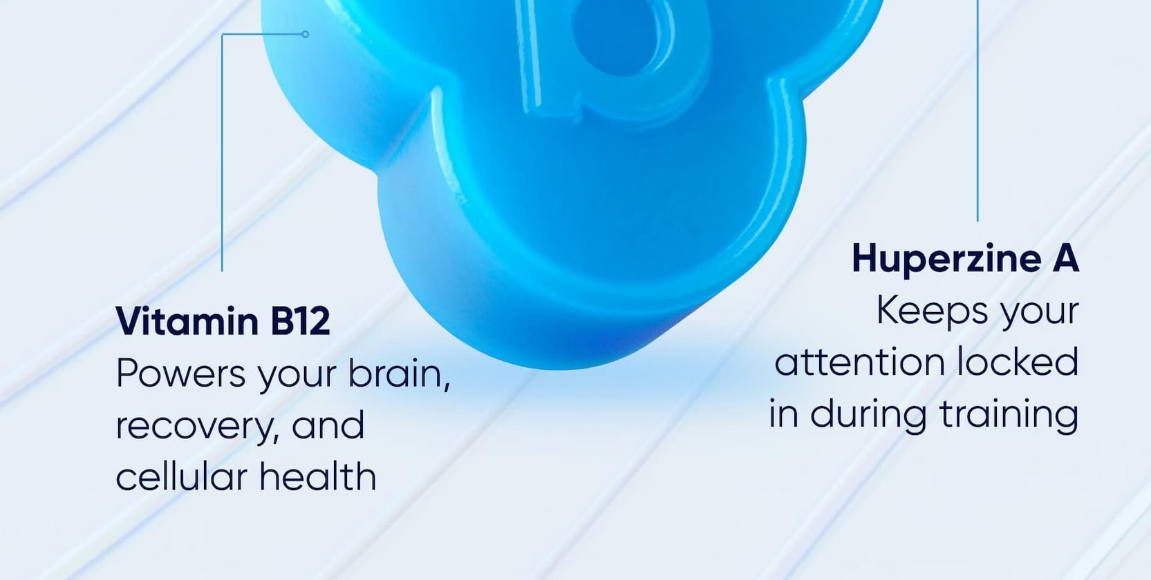 Vitamin B12 | Huperzine A