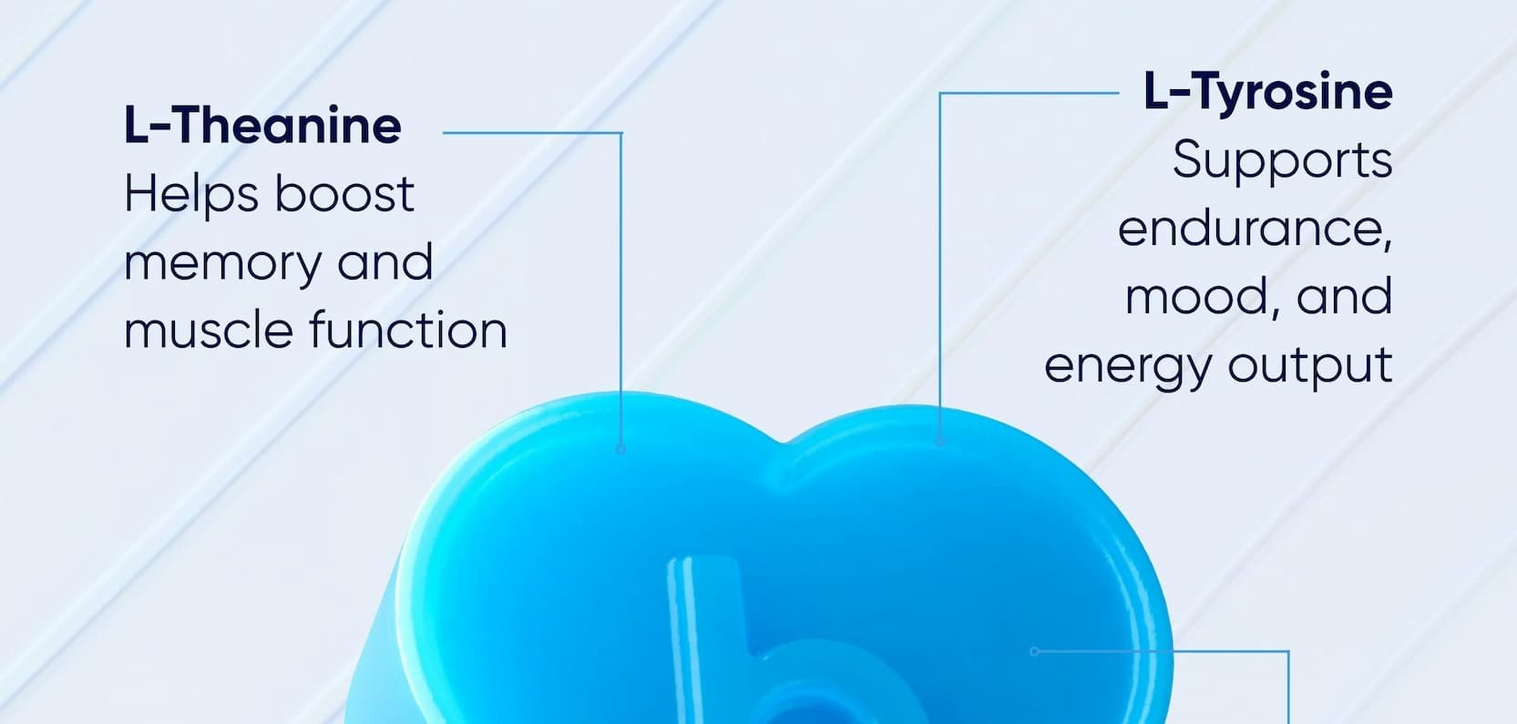 L-Theanine | L-Tyrosine
