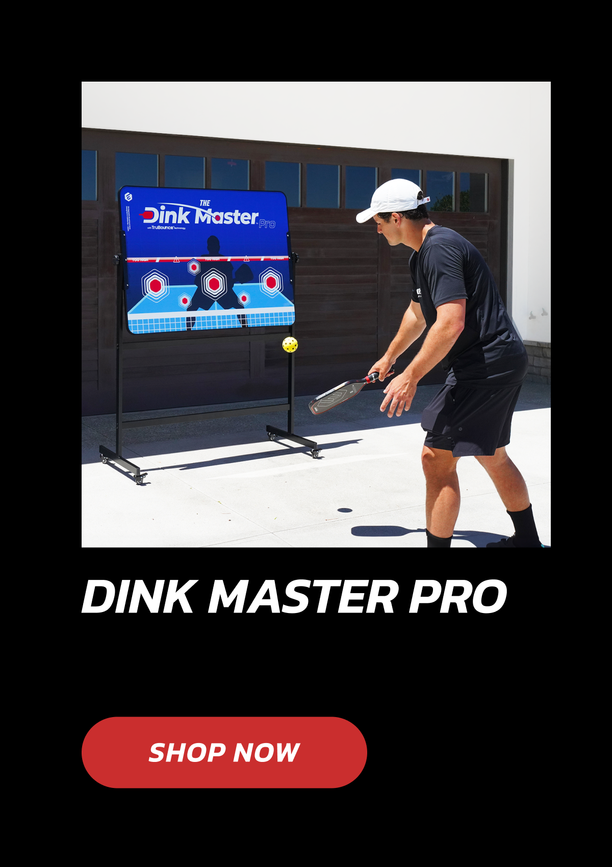 Dink Master Pro SHOP NOW