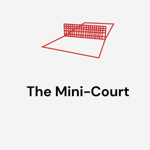 THE MINI-COURT