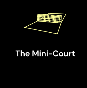 THE MINI-COURT