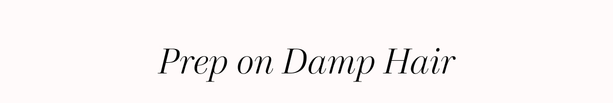 Prep on Damp Hair 