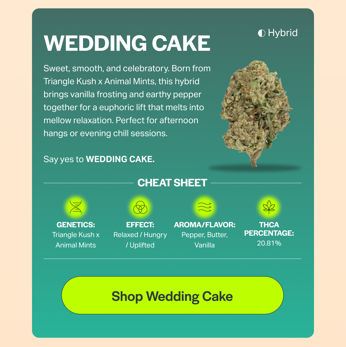 WEDDING CAKE Sweet, smooth, and celebratory. Born from Triangle Kush x Animal Mints, this hybrid brings vanilla frosting and earthy pepper together for a euphoric lift that melts into mellow relaxation. Perfect for afternoon hangs or evening chill sessions. Say yes to WEDDING CAKE. CHEAT SHEET GENETICS: Triangle Kush x Animal Mints EFFECT: Relaxed / Hungry / Uplifted AROMA/FLAVOR: Pepper, Butter, Vanilla [Shop Wedding Cake] Hybrid THCA PERCENTAGE: 20.81%