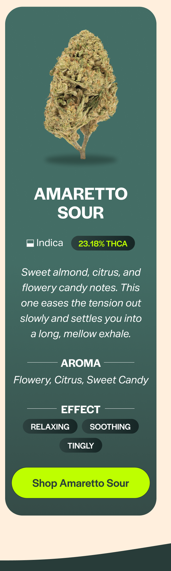 Shop Amaretto Sour