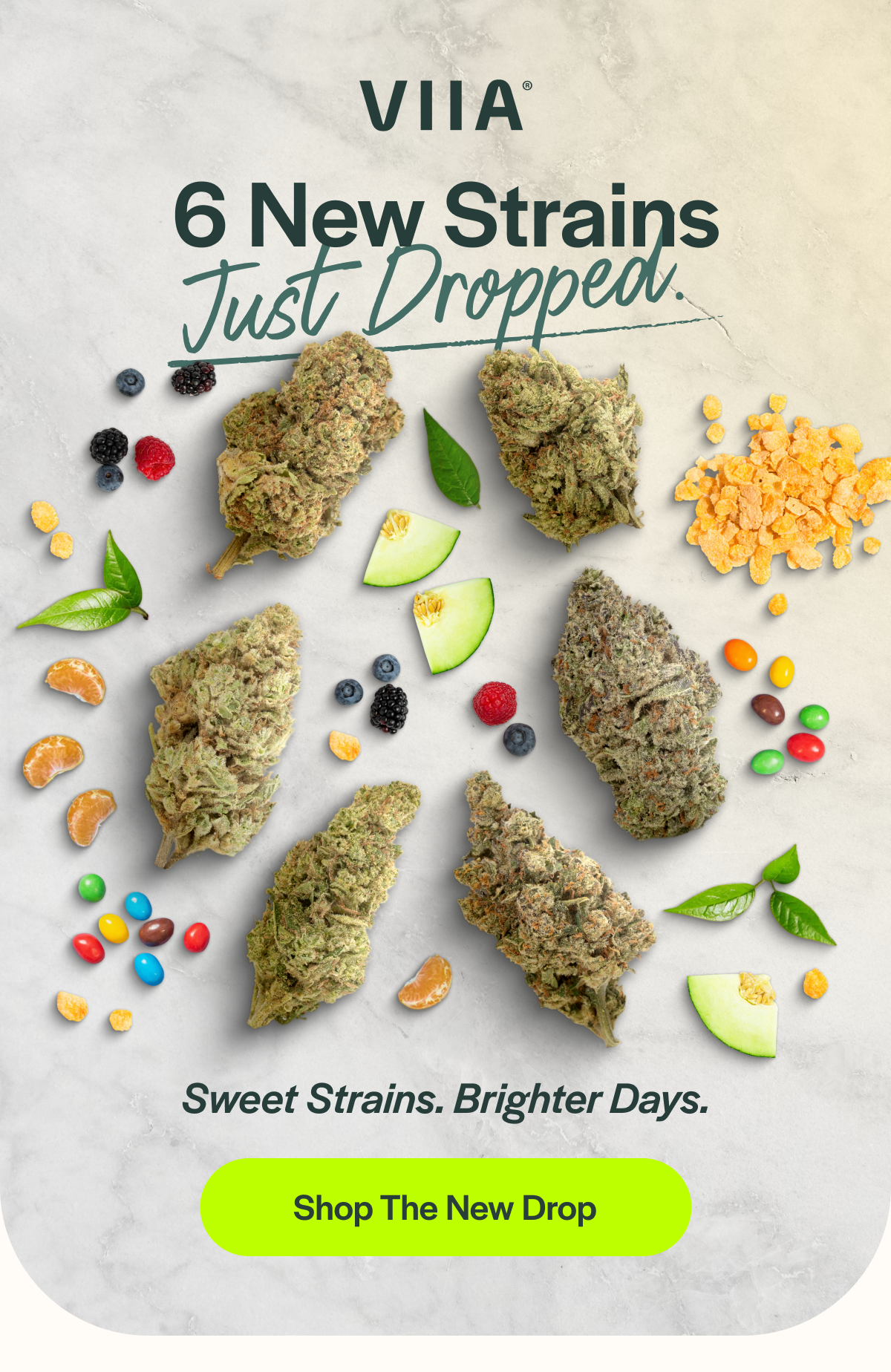 6 New Strains Just Vroppea Sweet Strains. Brighter Days. [Shop The New Drop]
