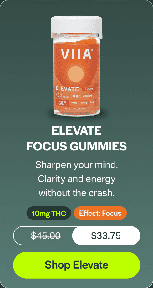 Elevate Focus Gummies