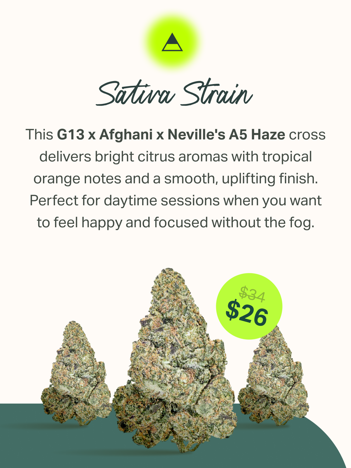 Sativa Strain This G13 x Afghani x Neville's A5 Haze cross delivers bright citrus aromas with tropical orange notes and a smooth, uplifting finish. Perfect for daytime sessions when you want to feel happy and focused without the fog.