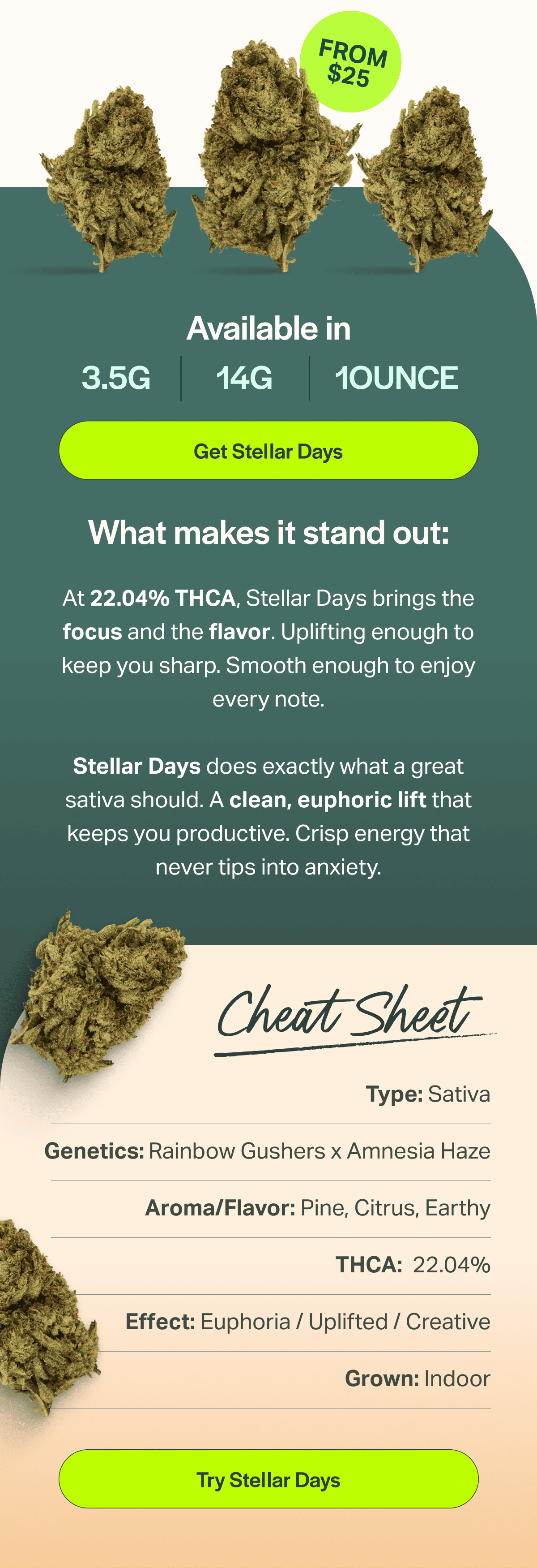 At 22.04% THCA, Stellar Days brings the focus and the flavor. Uplifting enough to keep you sharp. Smooth enough to enjoy every note.  Stellar Days does exactly what a great sativa should. A clean, euphoric lift that keeps you productive. Crisp energy that never tips into anxiety.