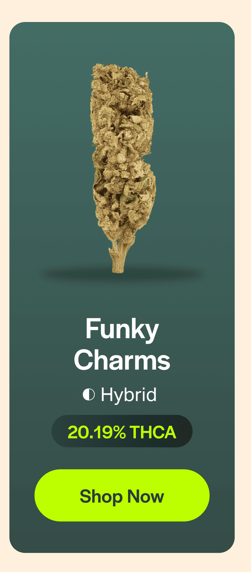 Funky Charms