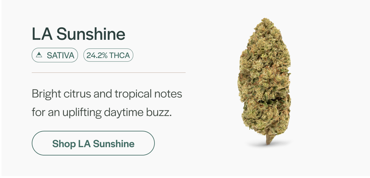 LA Sunshine - Sativa
