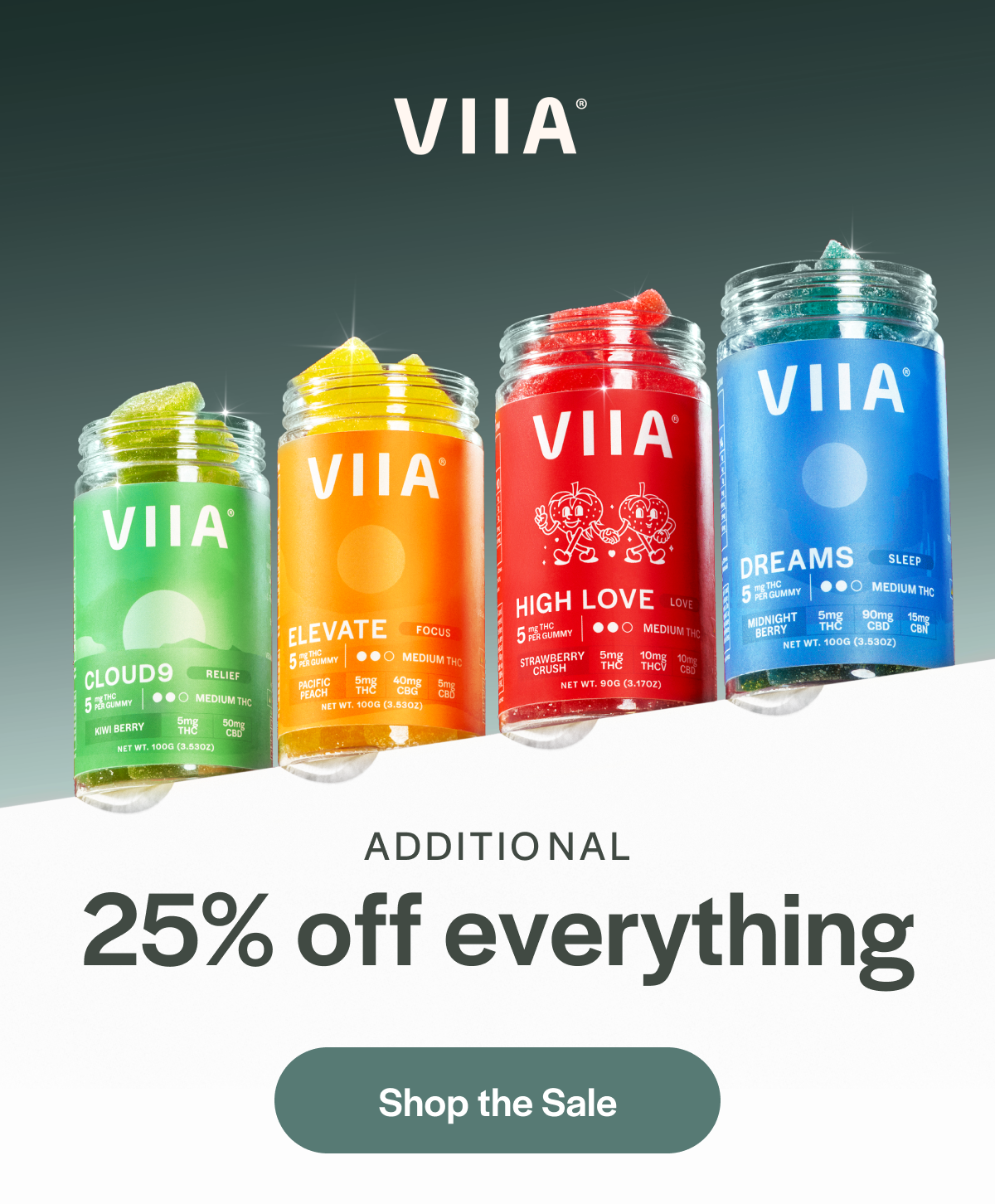 Additional 25% off everything - Shop the Sale