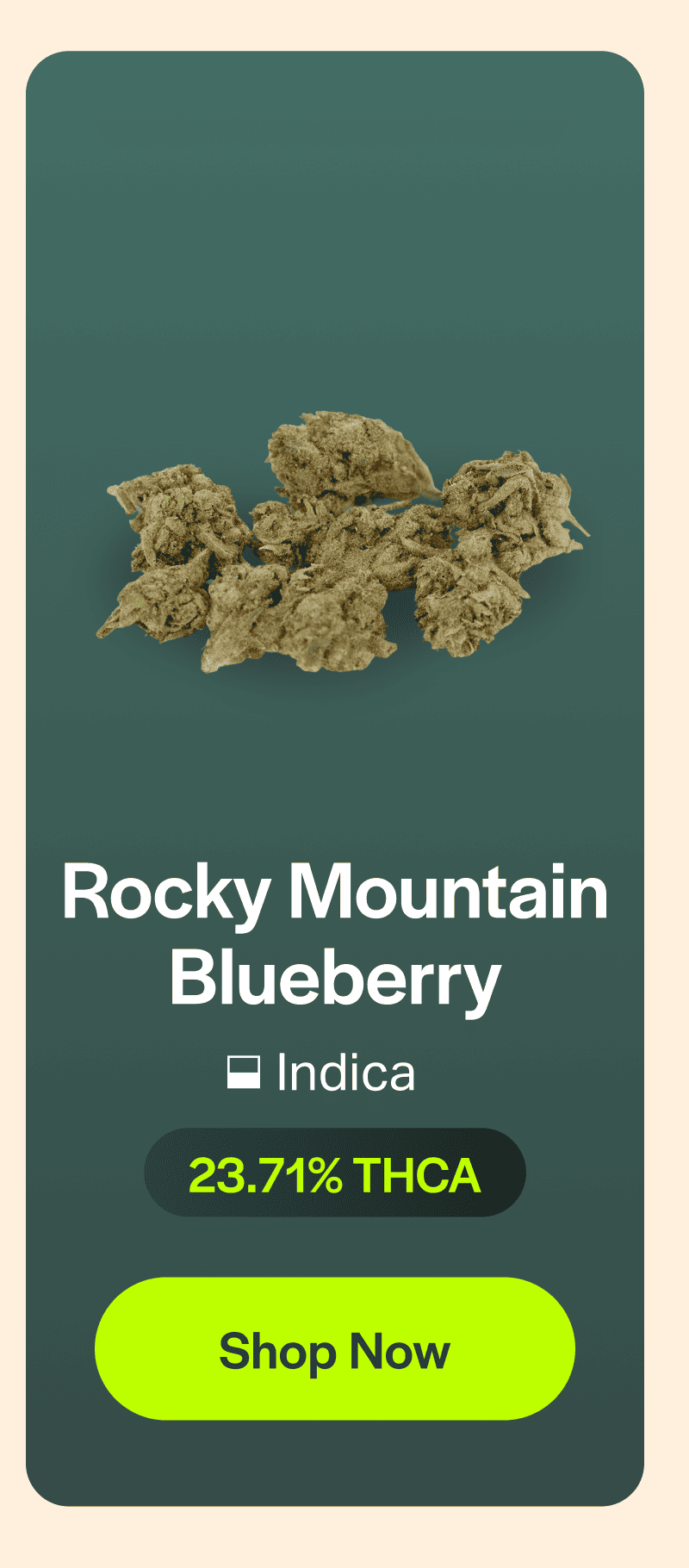 Rocky Mountain Blueberry