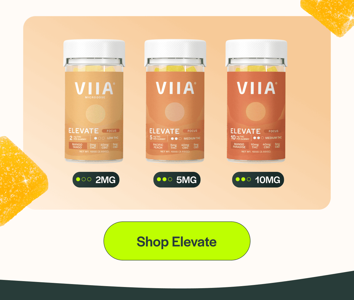 Shop Elevate