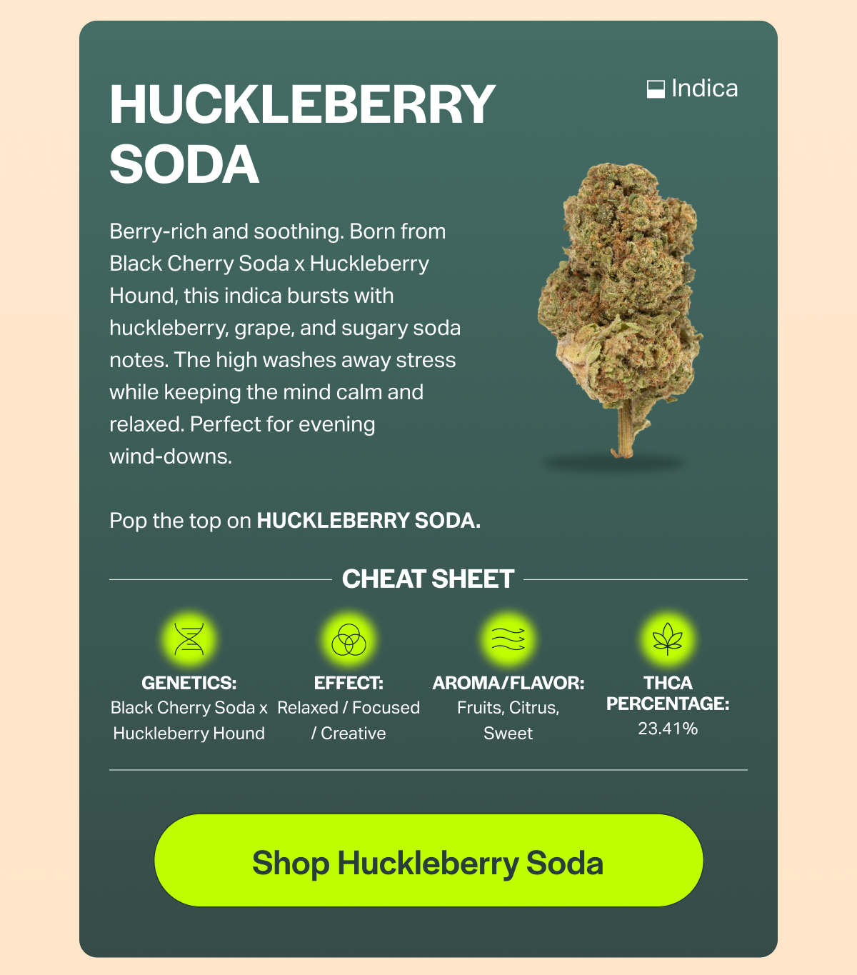 HUCKLEBERRY SODA Berry-rich and soothing. Born from Black Cherry Soda x Huckleberry Hound, this indica bursts with huckleberry, grape, and sugary soda notes. The high washes away stress while keeping the mind calm and relaxed. Perfect for evening wind-downs. • Indica Pop the top on HUCKLEBERRY SODA. CHEAT SHEET GENETICS: EFFECT: Black Cherry Soda x Relaxed / Focused Huckleberry Hound / Creative AROMA/FLAVOR: Fruits, Citrus, Sweet THCA PERCENTAGE: 23.41% [Shop Huckleberry Soda]