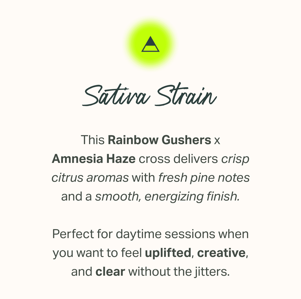 This Rainbow Gushers x Amnesia Haze cross delivers crisp citrus aromas with fresh pine notes and a smooth, energizing finish.  Perfect for daytime sessions when you want to feel uplifted, creative, and clear without the jitters.