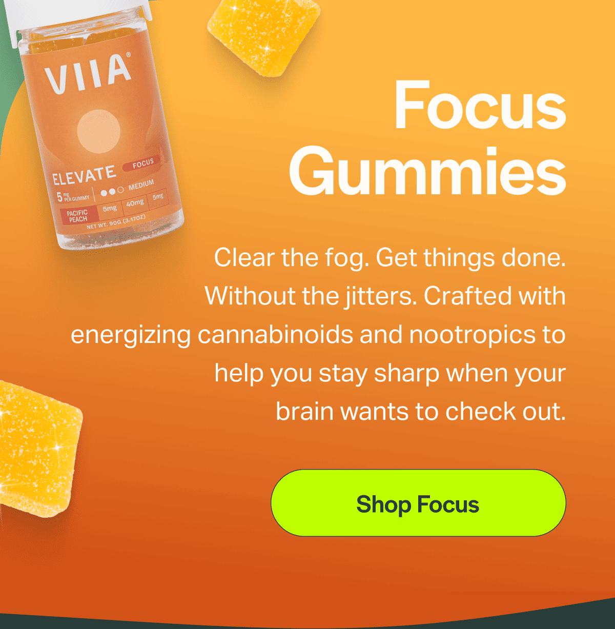 Focus Gummies