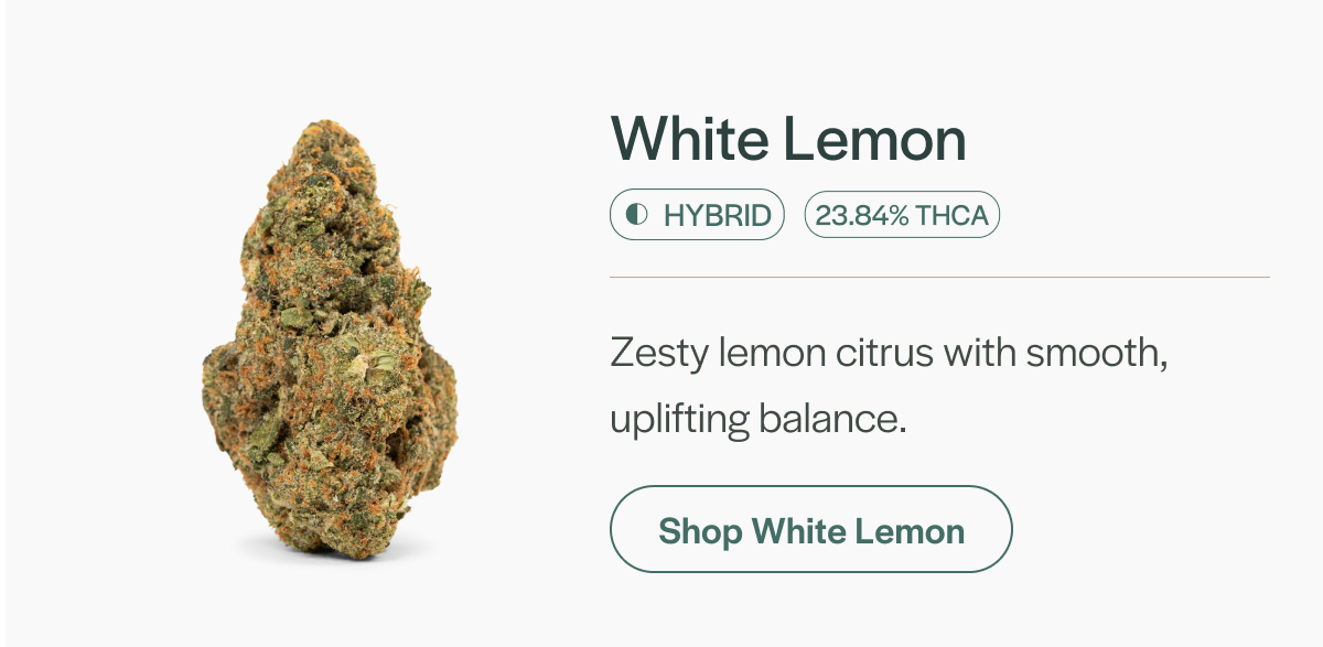 White Lemon - Hybrid
