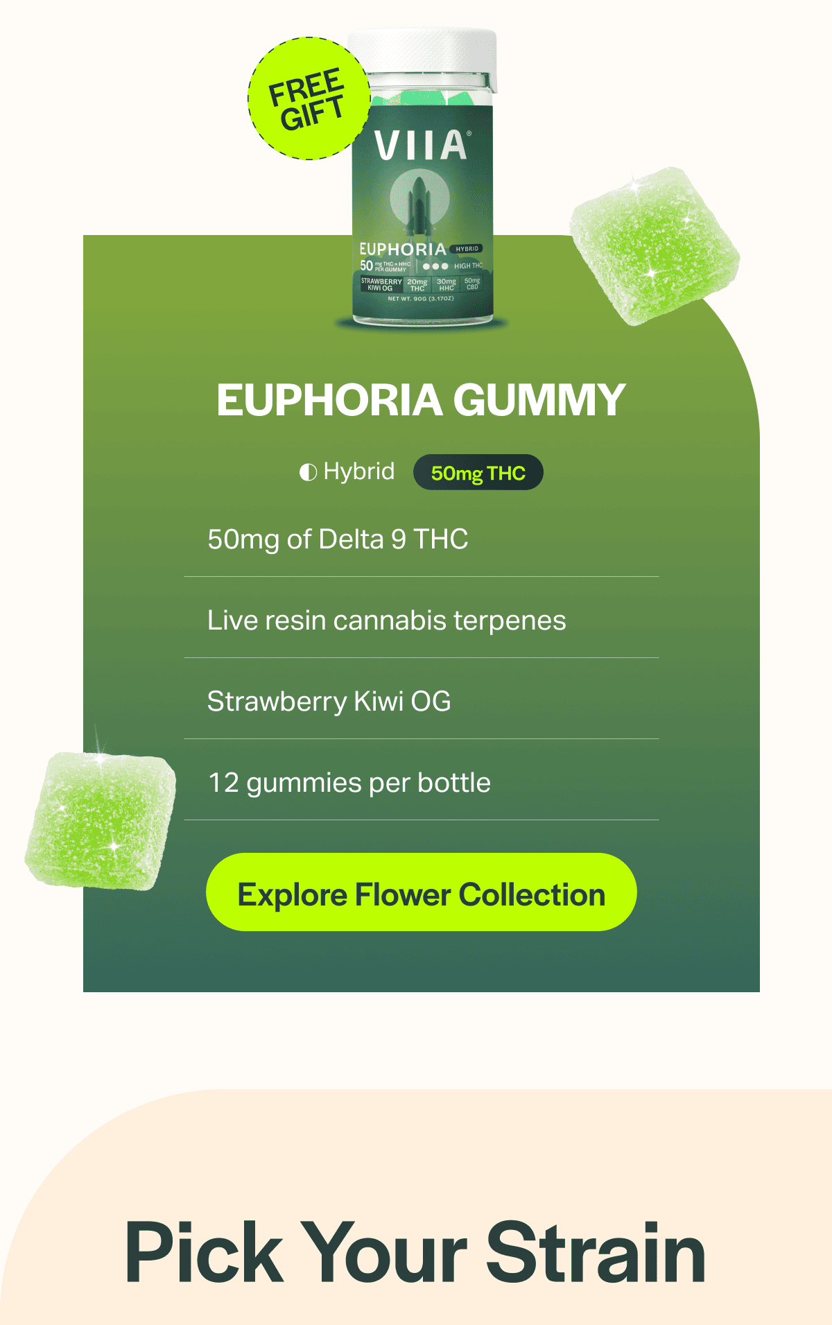 Euphoria Gummy