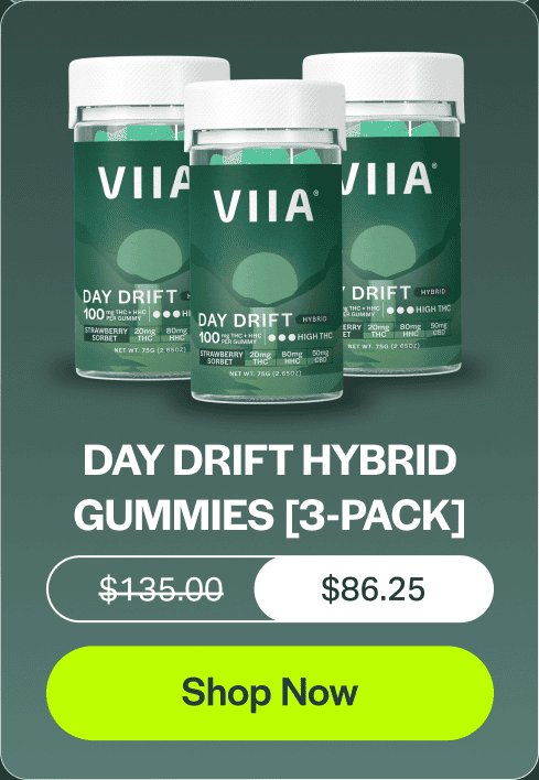 Day Drift Hybrid Gummies [3-Pack]