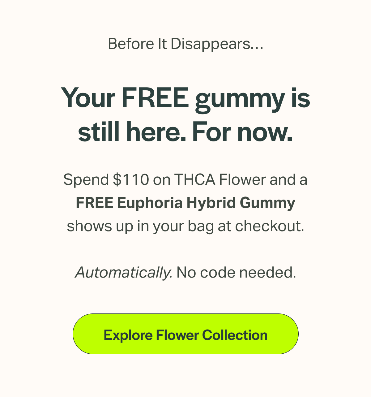 Explore Flower Collection