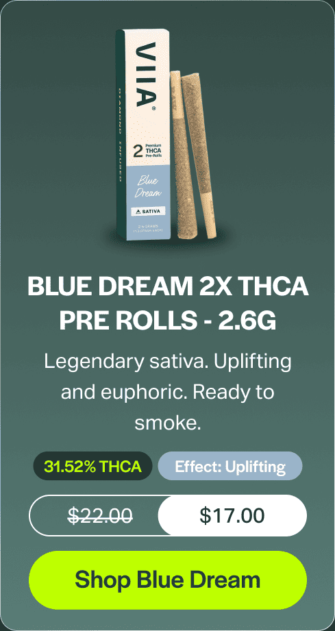 Blue Dream 2x THCA Pre Rolls - 2.6g