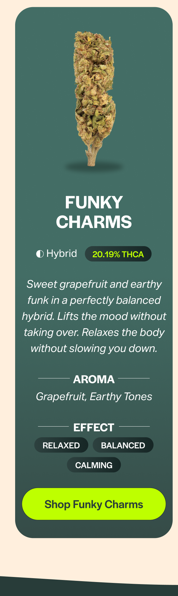 Shop Funky Charms