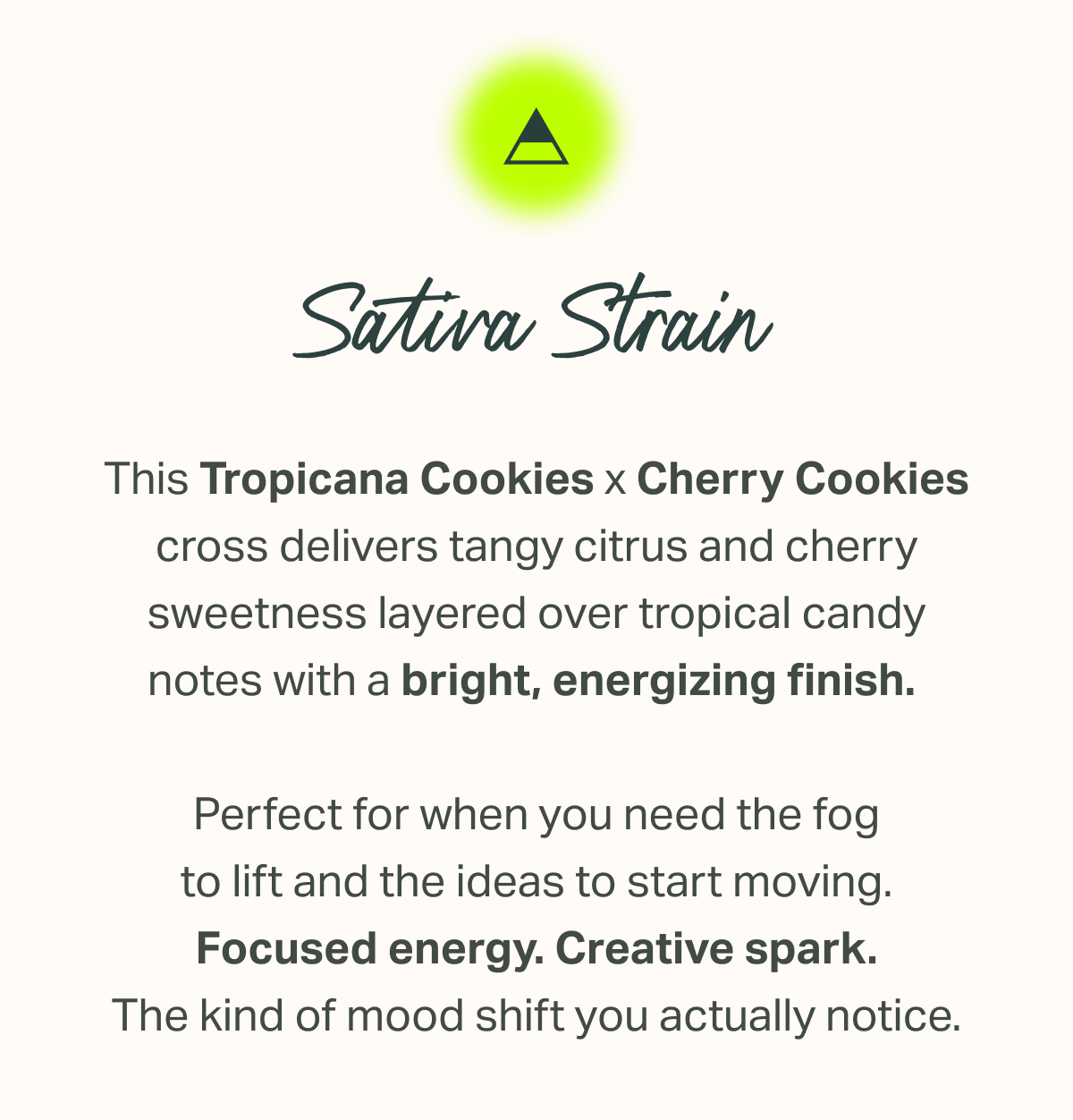 Sativa Strain This Tropicana Cookies × Cherry Cookies cross delivers tangy citrus and cherry sweetness layered over tropical candy notes with a bright, energizing finish. Perfect for when you need the fog to lift and the ideas to start moving. Focused energy. Creative spark. The kind of mood shift you actually notice.