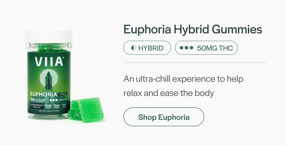 Euphoria Hybrid Gummies