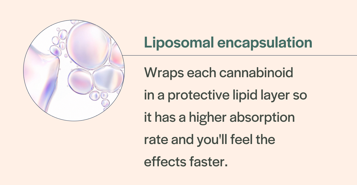 Liposomal encapsulation - wraps cannabinoids in a protective lipid so you'll feel the effects faster.
