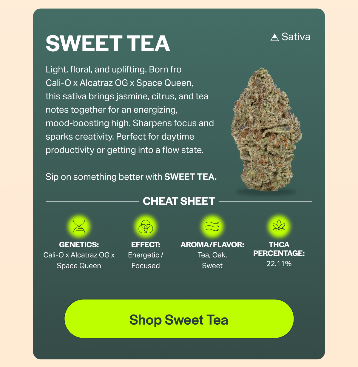 SWEET TEA Light, floral, and uplifting. Born fro Cali-O x Alcatraz OG x Space Queen, this sativa brings jasmine, citrus, and tea notes together for an energizing, mood-boosting high. Sharpens focus and sparks creativity. Perfect for daytime productivity or getting into a flow state. Sip on something better with SWEET TEA. CHEAT SHEET GENETICS: Cali-O x Alcatraz OG x Space Queen EFFECT: Energetic / Focused AROMA/FLAVOR: Tea, Oak, Sweet [Shop Sweet Tea] A Sativa THCA PERCENTAGE: 22.11%