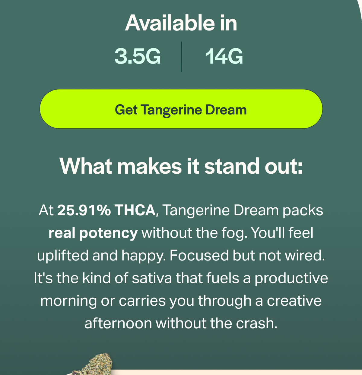 Available in 3.5G 14G [Get Tangerine Dream] What makes it stand out: At 25.91% THCA, Tangerine Dream packs real potency without the fog. You'll feel uplifted and happy. Focused but not wired. It's the kind of sativa that fuels a productive morning or carries you through a creative afternoon without the crash.