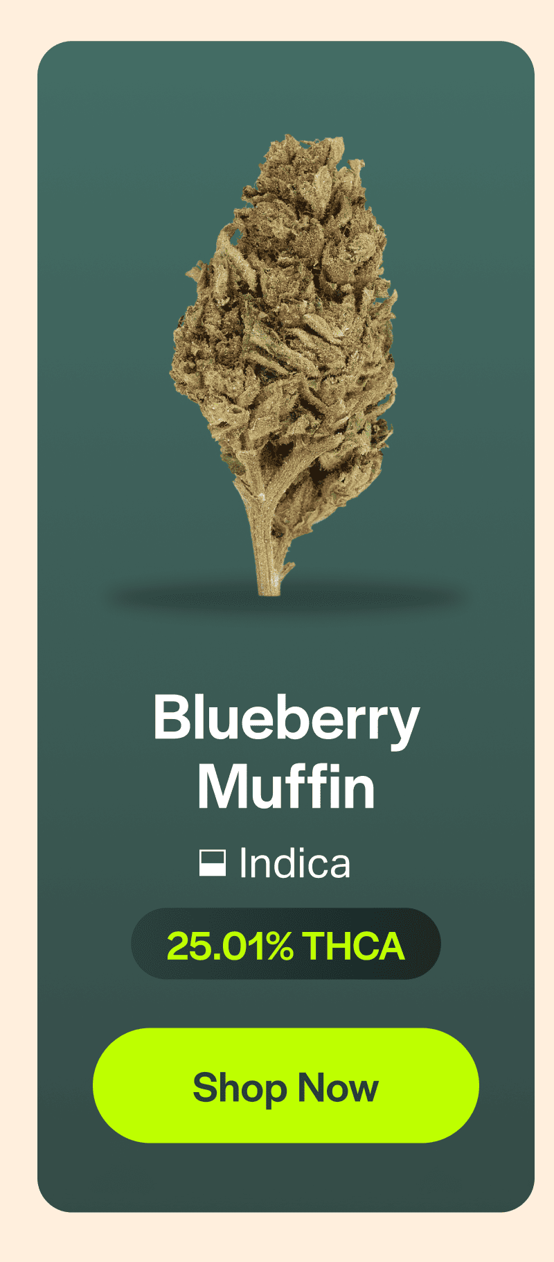 Blueberry Muffin