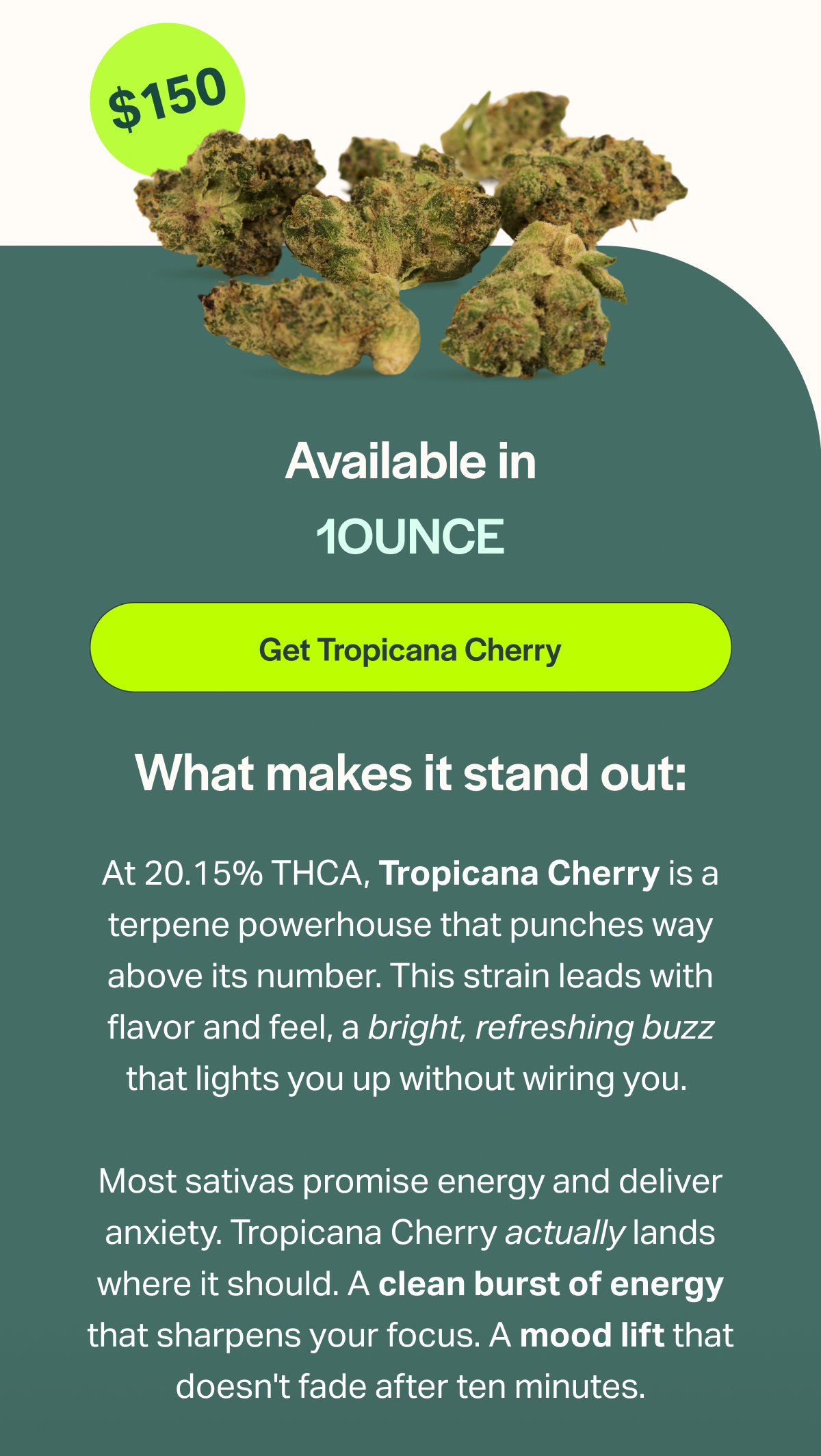 [Get Tropicana Cherry] What makes it stand out: At 20.15% THCA, Tropicana Cherry is a terpene powerhouse that punches way above its number. This strain leads with flavor and feel, a bright, refreshing buzz that lights you up without wiring you. Most sativas promise energy and deliver anxiety. Tropicana Cherry actually lands where it should. A clean burst of energy that sharpens your focus. A mood lift that doesn't fade after ten minutes.