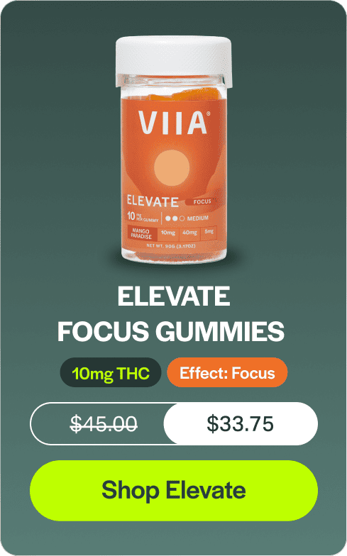 Elevate Focus Gummies 