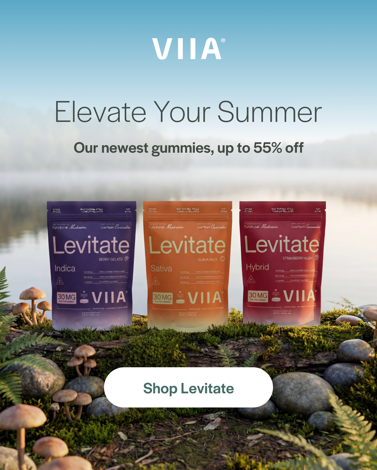 Elevate your summer. Our newest gummies, up to 55% off.  Shop Levitate 