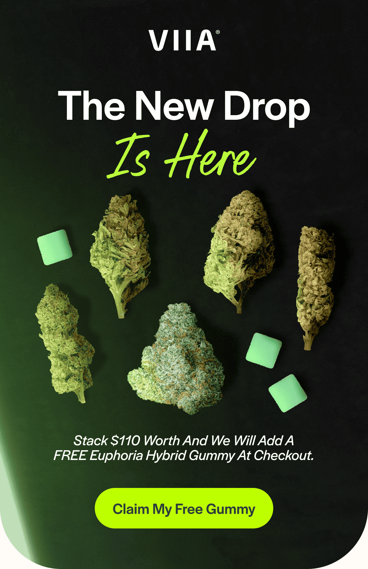 The New Drop Is Here