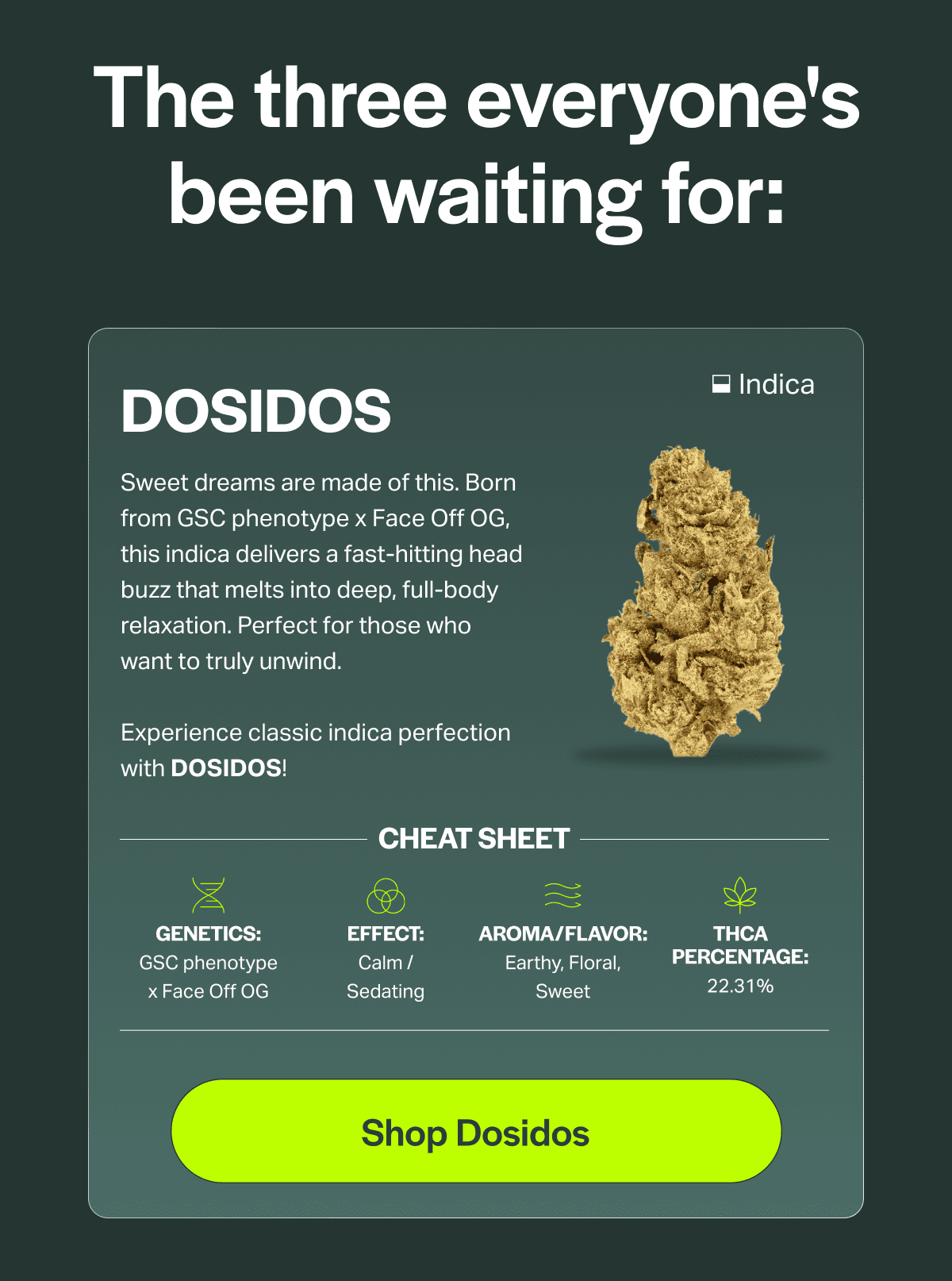 Sweet dreams are made of this. Born from GSC phenotype x Face Off OG, this indica delivers a fast-hitting head buzz that melts into deep, full-body relaxation. Perfect for those who want to truly unwind.  Experience classic indica perfection with DOSIDOS!