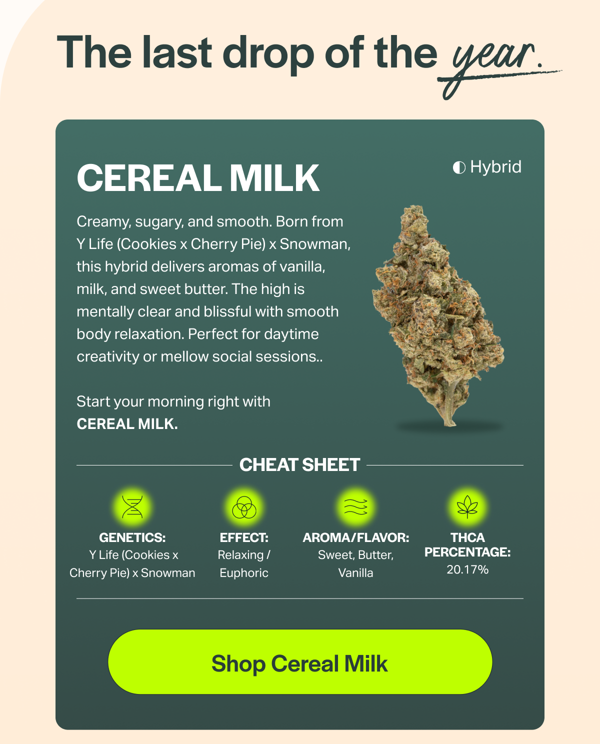 The last drop of the year. CEREAL MILK Creamy, sugary, and smooth. Born from Y Life (Cookies × Cherry Pie) x Snowman, this hybrid delivers aromas of vanilla, milk, and sweet butter. The high is mentally clear and blissful with smooth body relaxation. Perfect for daytime creativity or mellow social sessions.. Start your morning right with CEREAL MILK. GENETICS: Y Life (Cookies x Cherry Pie) × Snowman CHEAT SHEET EFFECT: Relaxing / Euphoric AROMA/FLAVOR: Sweet, Butter, Vanilla THCA PERCENTAGE: 20.17% [Shop Cereal Milk] 
