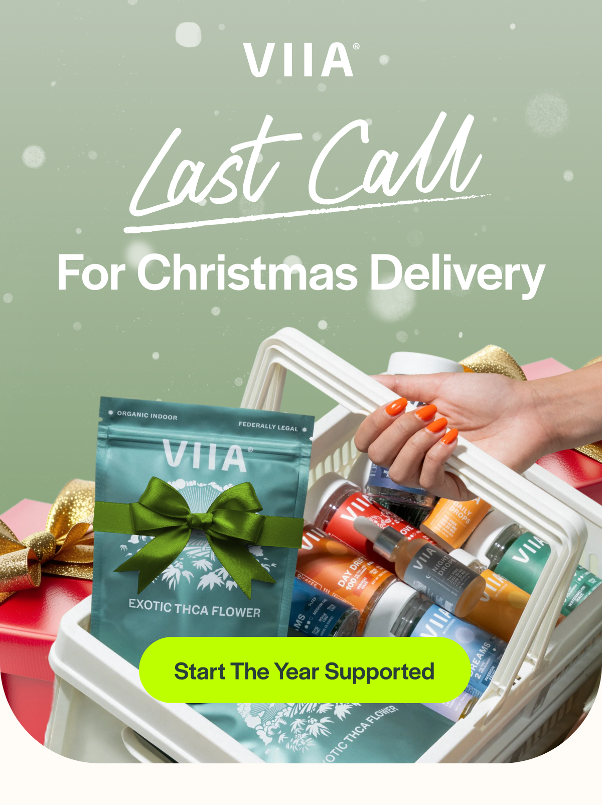 Last Call For Christmas Delivery [Start The Year Supported]