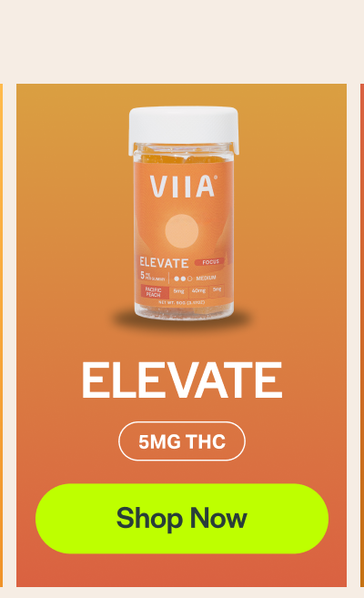 ELEVATE 5MG THC [Shop Now]