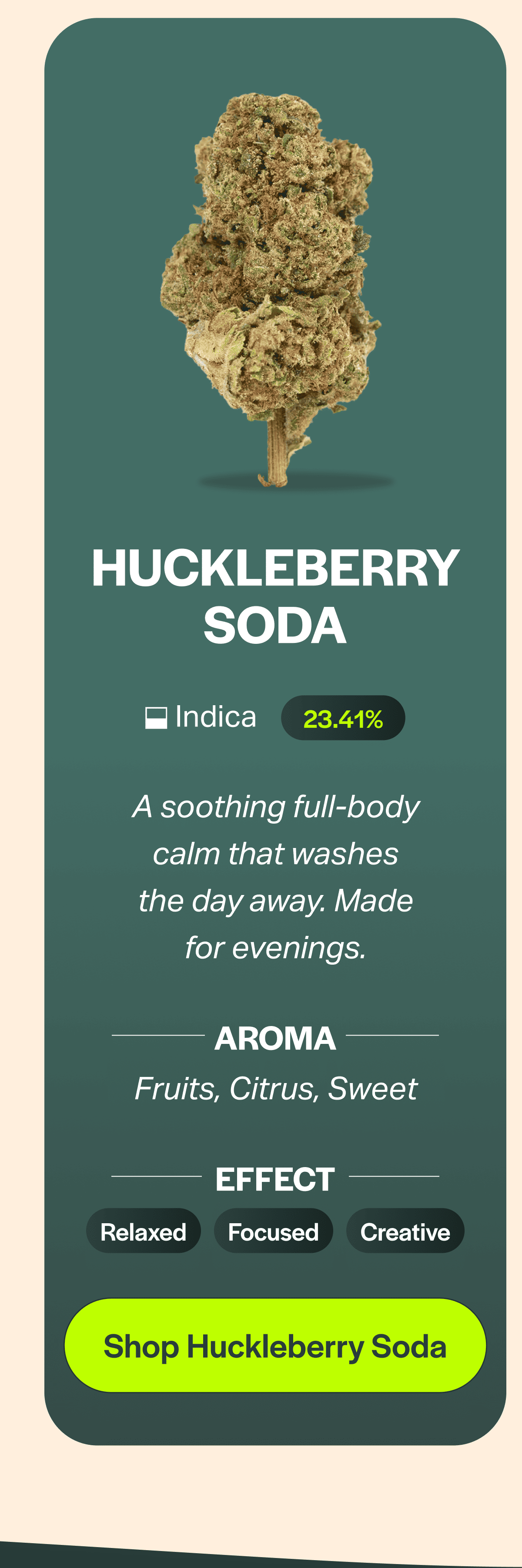 Huckleberry Soda