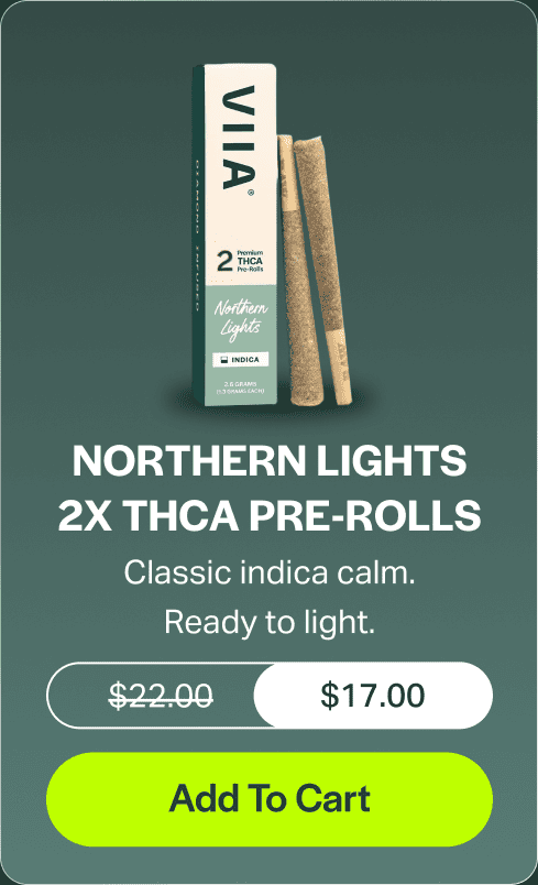 Northern Lights 2x THCA Pre-Rolls