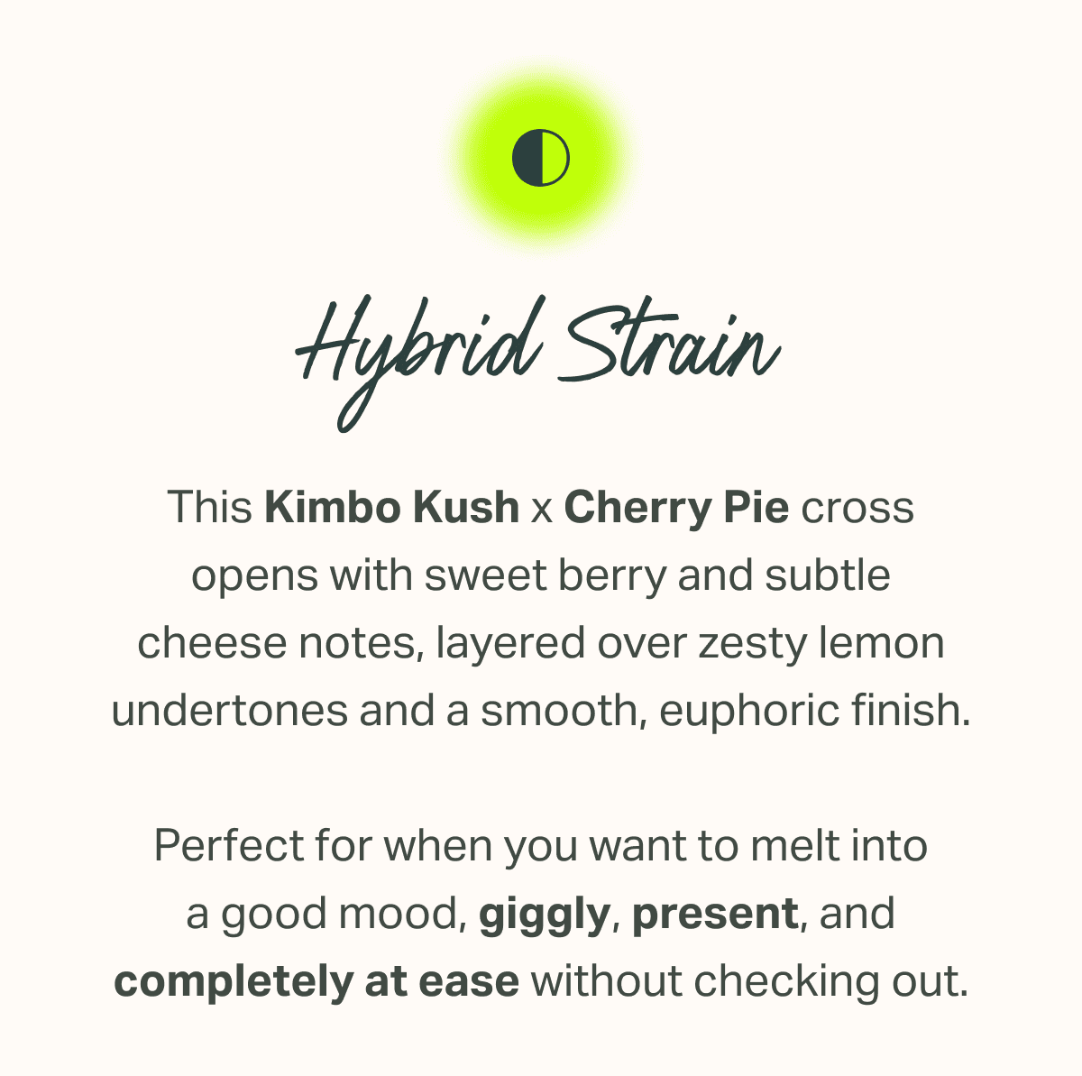 This Kimbo Kush x Cherry Pie cross opens with sweet berry and subtle cheese notes, layered over zesty lemon undertones and a smooth, euphoric finish.  Perfect for when you want to melt into a good mood, giggly, present, and completely at ease without checking out.