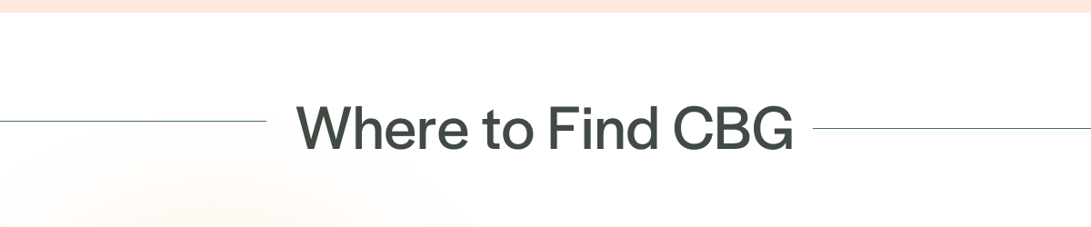 Where to Find CBG