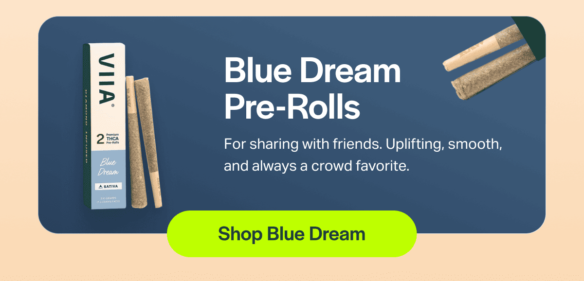 Blue Dream Pre-Rolls