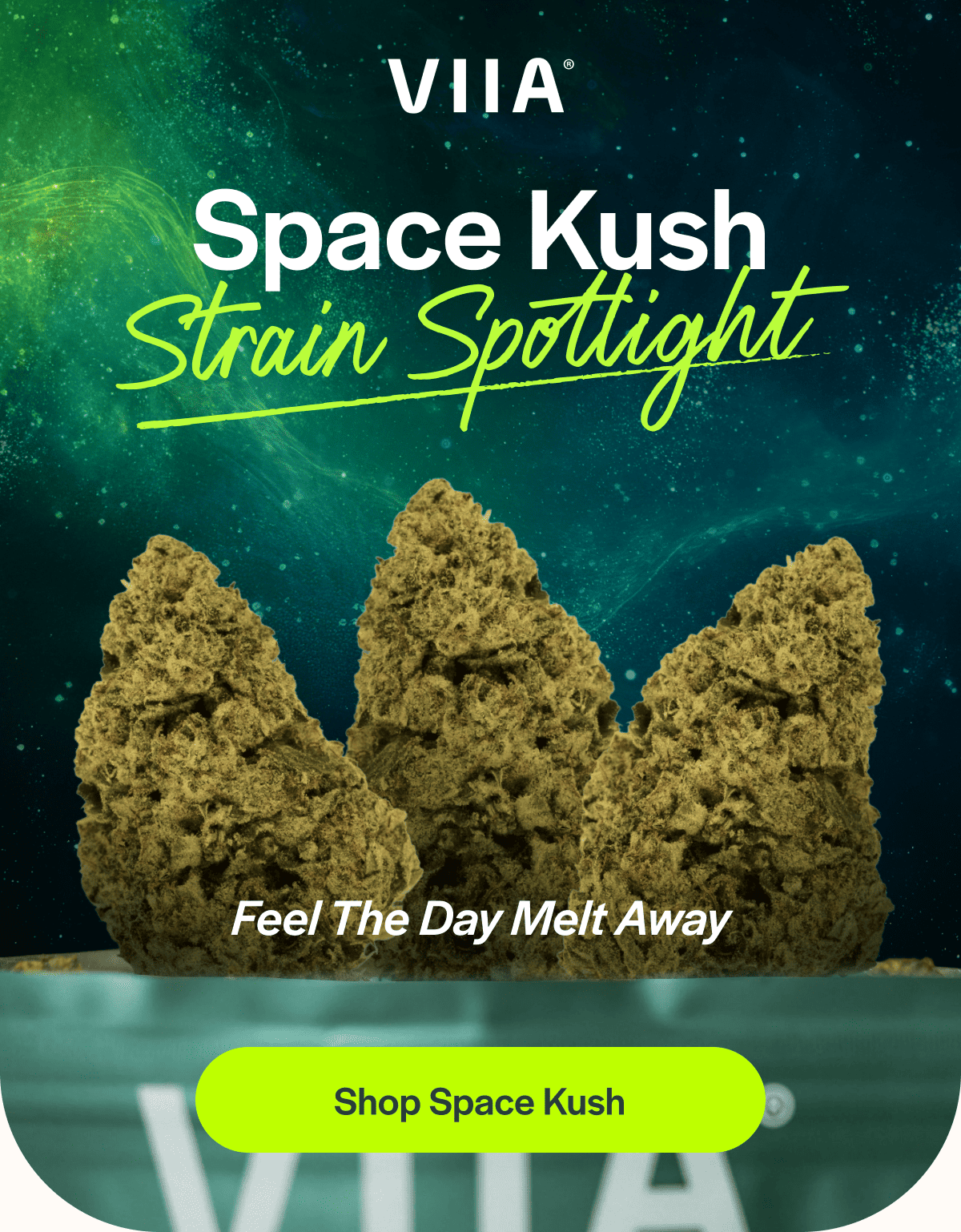 Space Kush Strain Spotlight