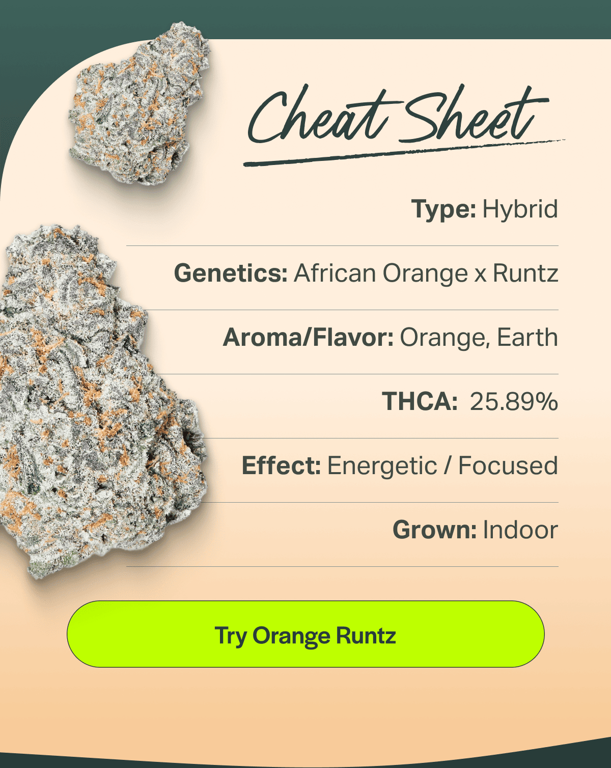 Try Orange Runtz