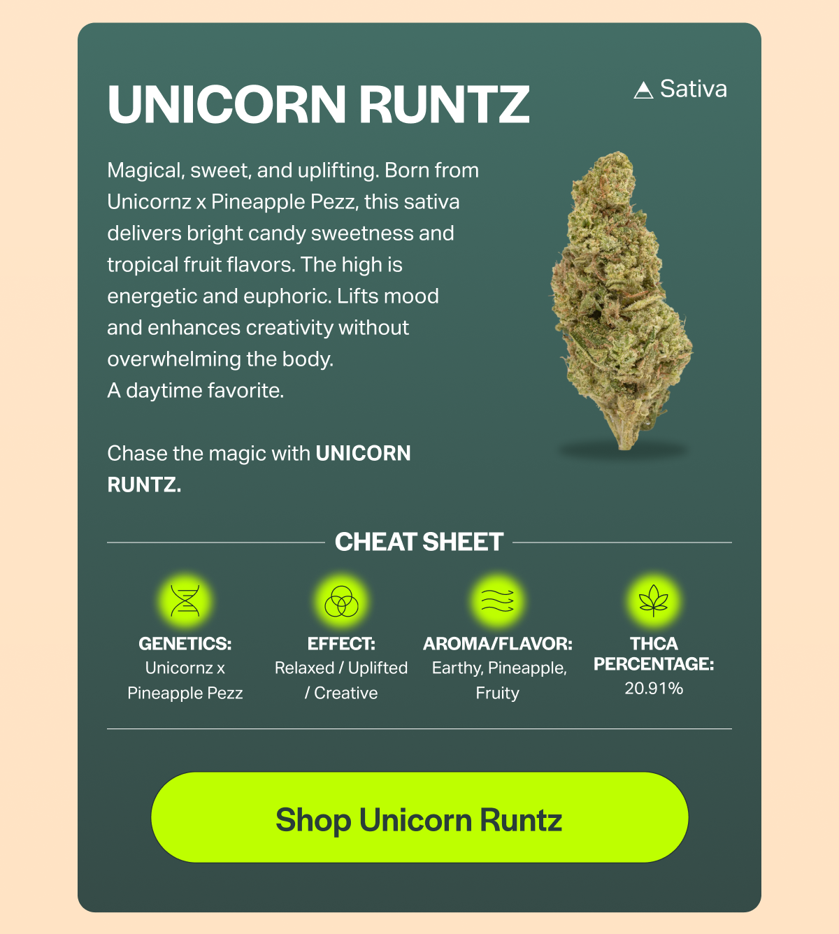 UNICORN RUNTZ Magical, sweet, and uplifting. Born from Unicornz x Pineapple Pezz, this sativa delivers bright candy sweetness and tropical fruit flavors. The high is energetic and euphoric. Lifts mood and enhances creativity without overwhelming the body. A daytime favorite. Chase the magic with UNICORN RUNTZ. A Sativa CHEAT SHEET GENETICS: Unicornz x Pineapple Pezz EFFECT: Relaxed / Uplifted / Creative AROMA/FLAVOR: Earthy, Pineapple, Fruity THCA PERCENTAGE: 20.91% [Shop Unicorn Runtz]