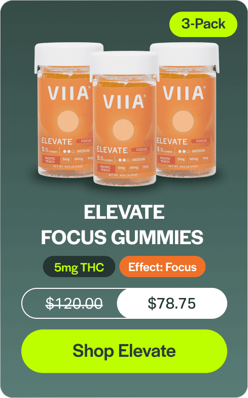Elevate Focus Gummies 