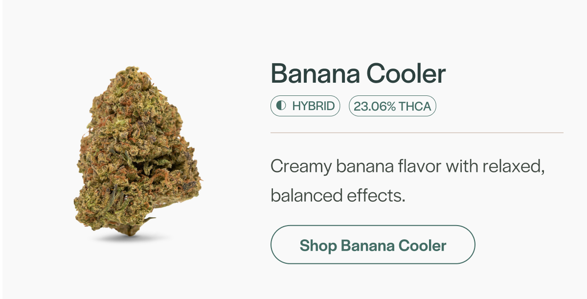 Banana Cooler - Hybrid